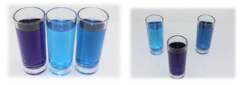 From Farm to Shelf: Secrets of Pure Turmeric Colour