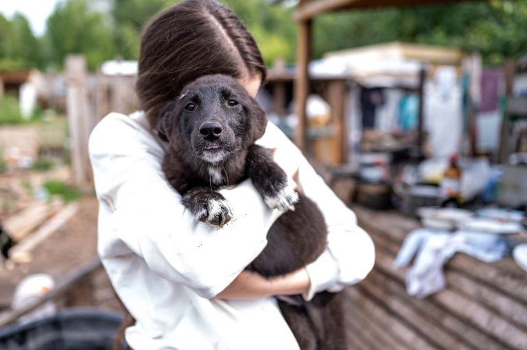 Find a natural match for your pup and a safer dog dating scene