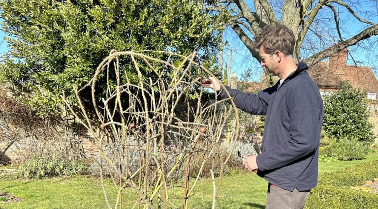 A Local Gardener’s Guide to a Lush, Low Hassle Garden