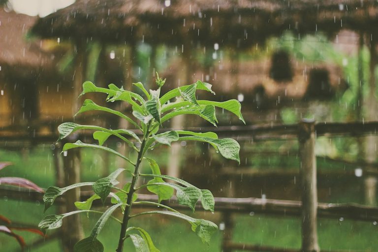 Shade that adapts: a pergola with louvered roof for every season Shade that adapts: a pergola with louvered roof for every season