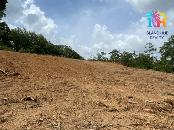 Hidden gems for buyers and investors in Trinidad Hidden gems for buyers and investors in Trinidad