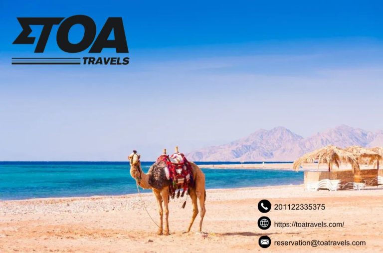 Explore Egypt in Comfort: 7 Days and 4 Days Tour Packages
