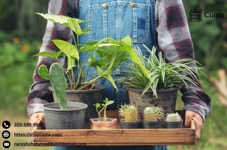 Connect with buyers on a thriving small-farm marketplace