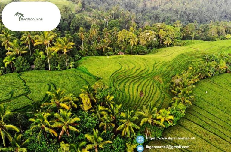 Experience a Seamless Bali Tour Package Online Experience a Seamless Bali Tour Package Online