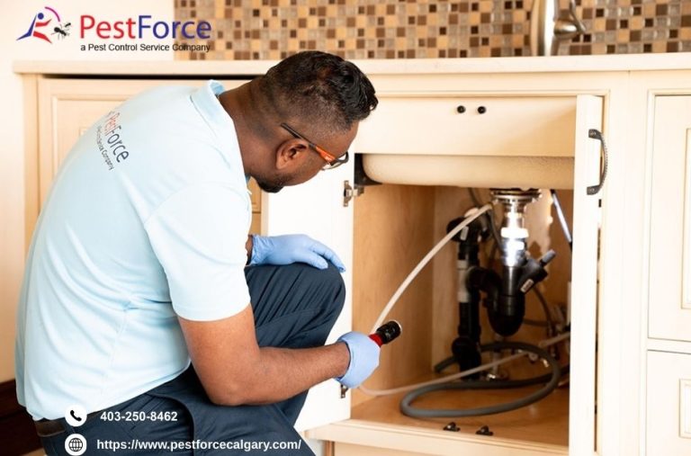 Effective Bed Bug Control Services in Calgary Effective Bed Bug Control Services in Calgary