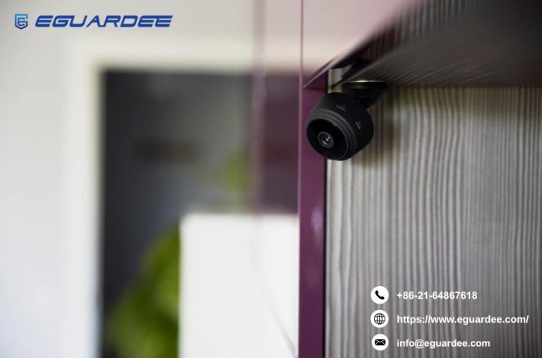 Smart Ways to Choose and Use Domestic Surveillance Devices Smart Ways to Choose and Use Domestic Surveillance Devices
