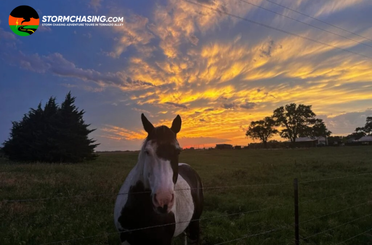 Chasing Fronts: A Practical Guide to Stormy Oklahoma Adventures Chasing Fronts: A Practical Guide to Stormy Oklahoma Adventures