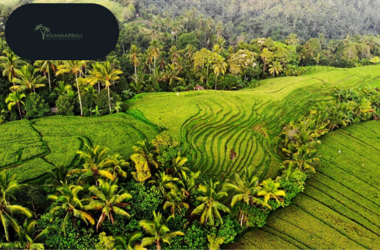 Rise with Bali’s Volcano: Sunrise Trek Tour Rise with Bali’s Volcano: Sunrise Trek Tour