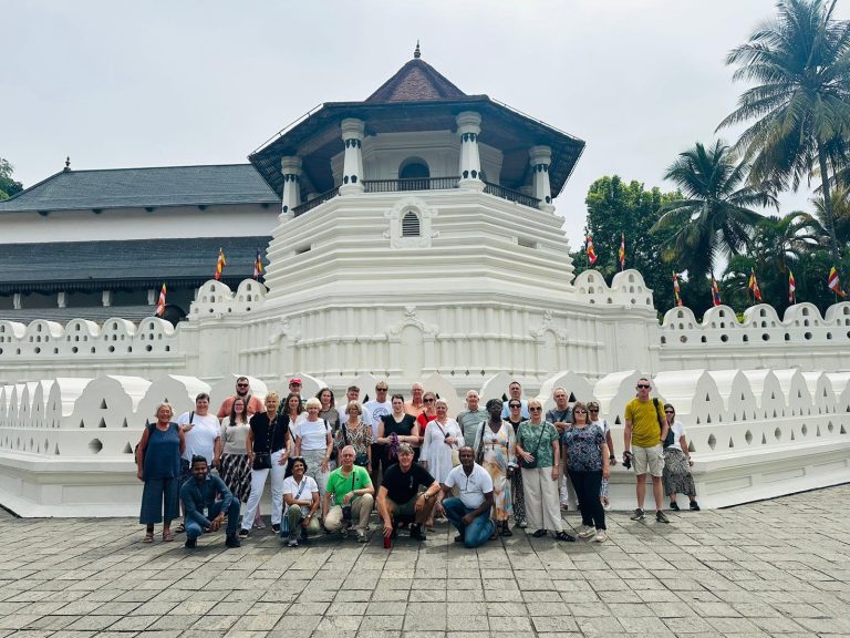 Exclusive Sri Lankan Escapes: Luxury Tours & Curated Experiences Exclusive Sri Lankan Escapes: Luxury Tours & Curated Experiences