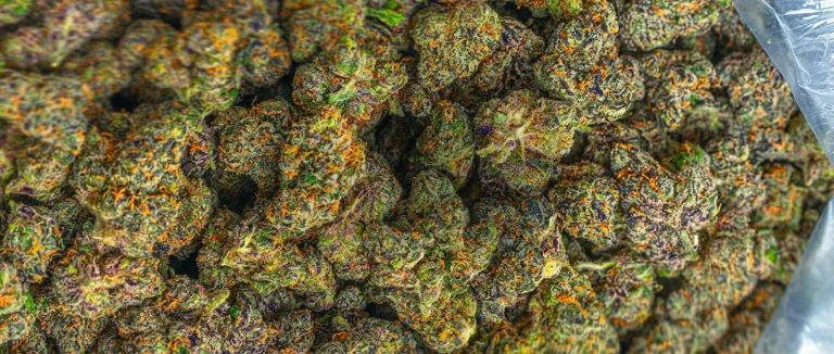 Discover Local THCA Options: Practical Guide to Finding the Best THCA Near You Discover Local THCA Options: Practical Guide to Finding the Best THCA Near You
