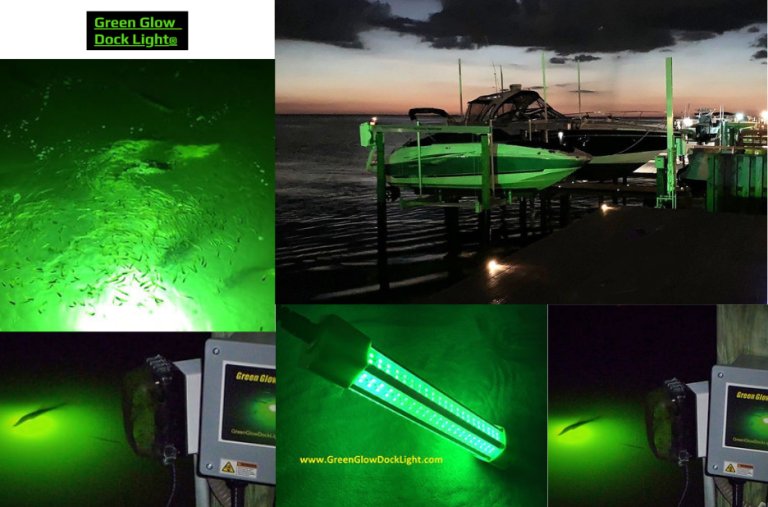 Illuminate Your Night Fishing: A Practical Gear Guide Illuminate Your Night Fishing: A Practical Gear Guide