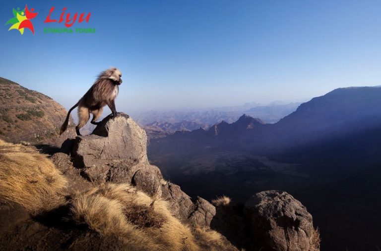 Business Ready Ethiopia Tours That Work for You