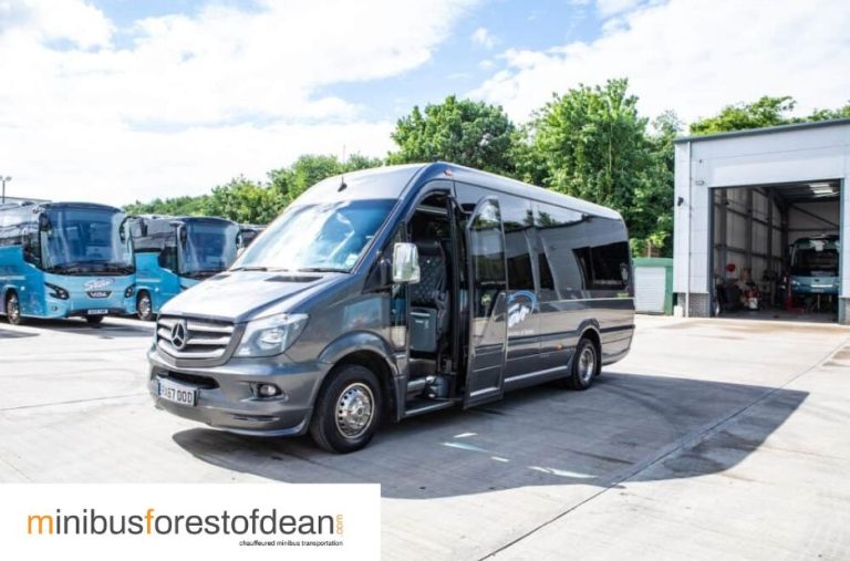 Exploring the Forest of Dean by Minibus