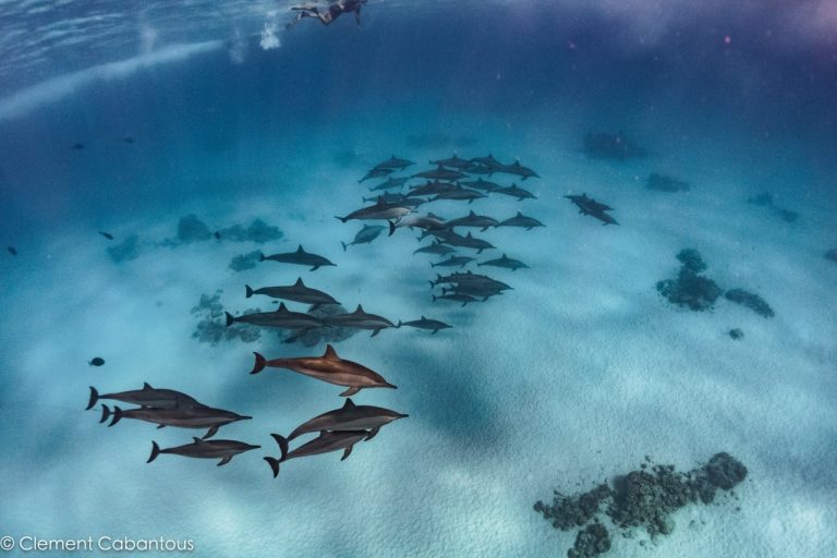 Experiencing a floating retreat in the Red Sea