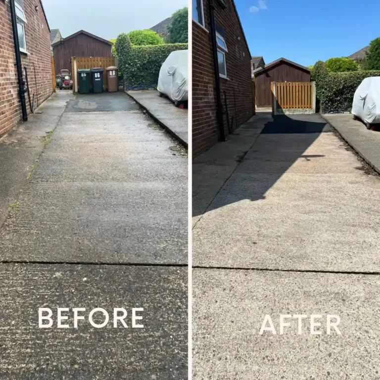 Professional Moss Removal and Cleaning Solutions for UK Homes