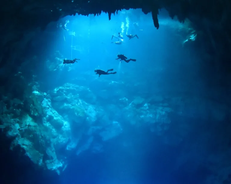 Explore Tulum’s Underwater World: A Diver’s Guide to Cenotes and Reefs