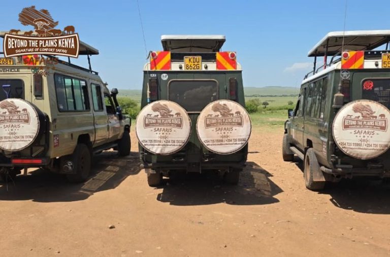 Exploring Kenya Safaris: Practical Tips for All Travelers