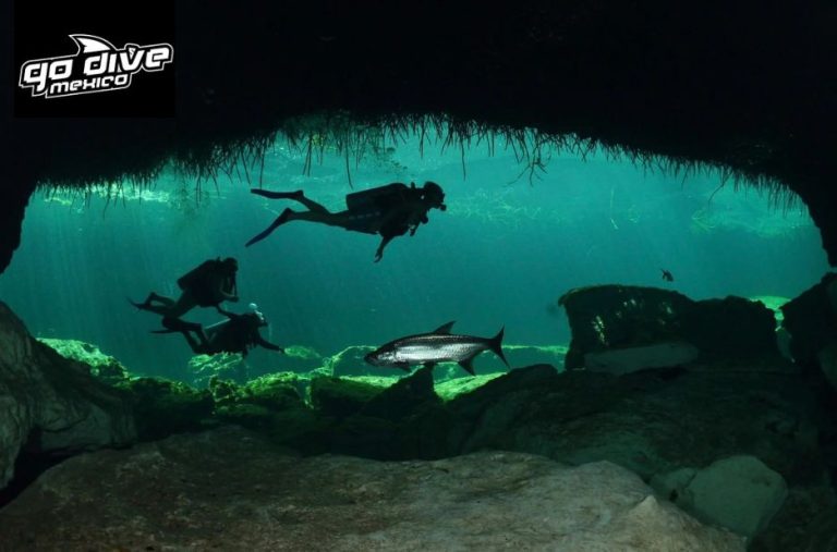 Exploring Cenotes: A Safe Guide to Underwater Caverns near Tulum