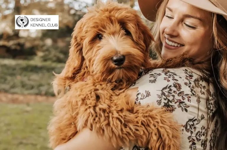 Dog Papers Checklist: What to Prepare for Registration and Ownership Proof Dog Papers Checklist: What to Prepare for Registration and Ownership Proof