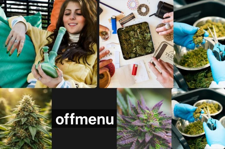Expert Guide to Edible Wellness Products in Canada
