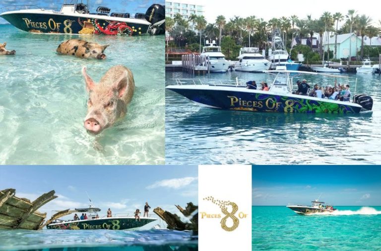 Swim With Pigs Nassau: A Signature Nassau Adventure by Piecesof8tours.com Swim With Pigs Nassau: A Signature Nassau Adventure by Piecesof8tours.com