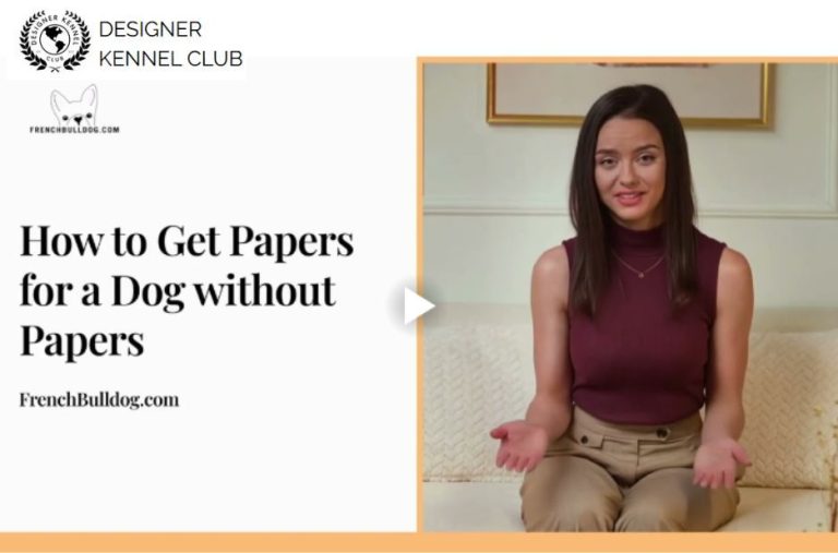 How to Get Dog Papers Without AKC Registration: Options